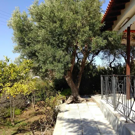 Gerakina