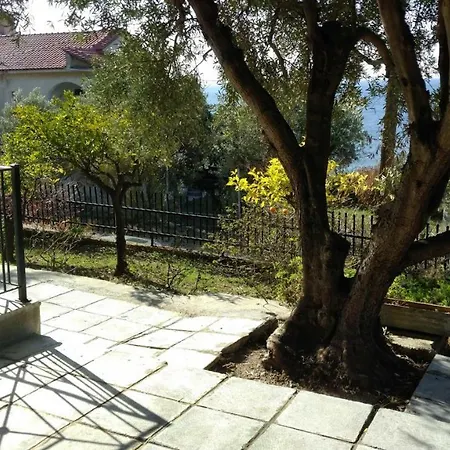 Gerakina Psakoudia