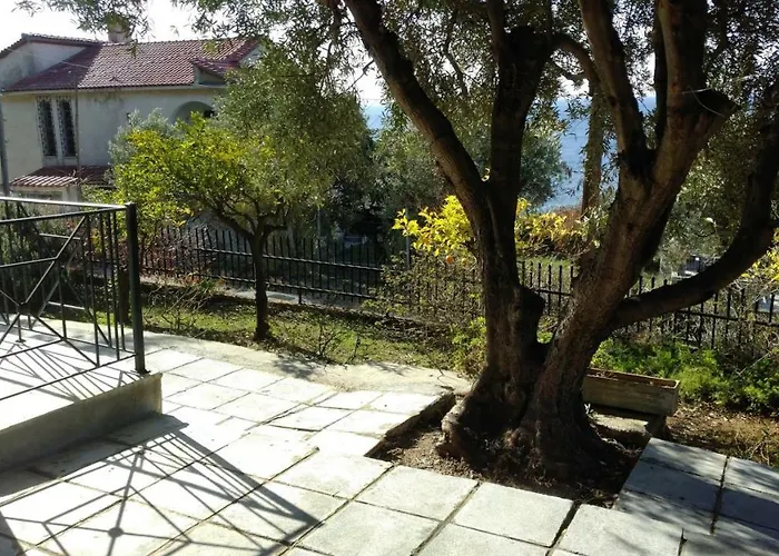 Gerakina פסאקודיה